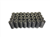 Gen 3 5.0L L&M Coyote Spring & Retainer Package 2018-2020