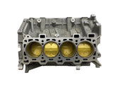 2021+ F-150 5.0L Coyote Sleeved Short Block LM2021 IN STOCK READY TO SHIP